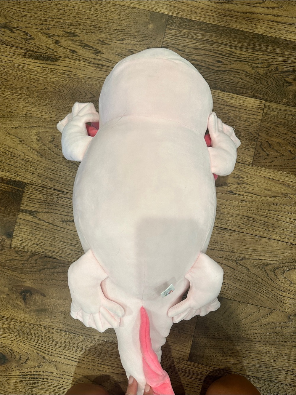 Super Soft Plush Pink Axolotl Stuffed Animal - Soft Cuddly Toy - Picture 4 of 4